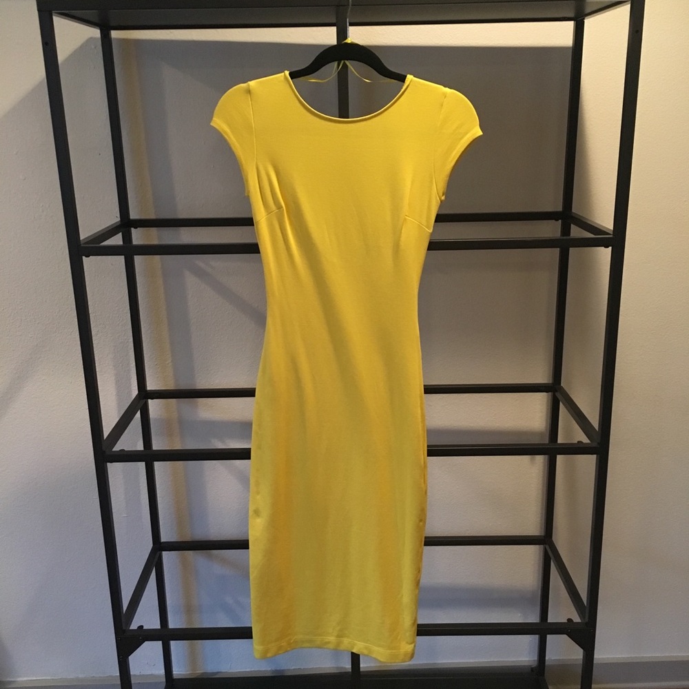Zara Trafaluc Bodycon Dress
